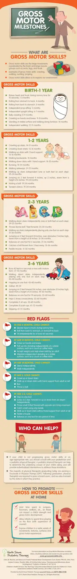 Gross-Motor-Milestones-infographic