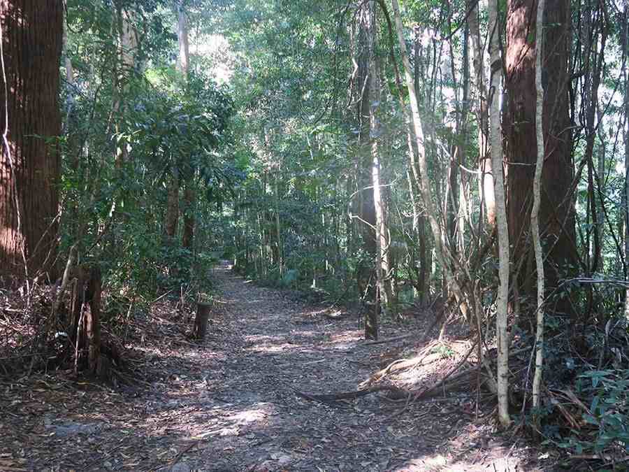 Hiking Fraser Island