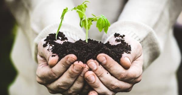 Is-Gardening-Putting-Me-At-Risk-of-Toenail-Fungus-featured-image
