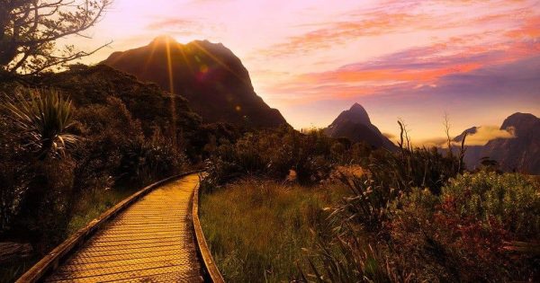 Walking the Milford Track