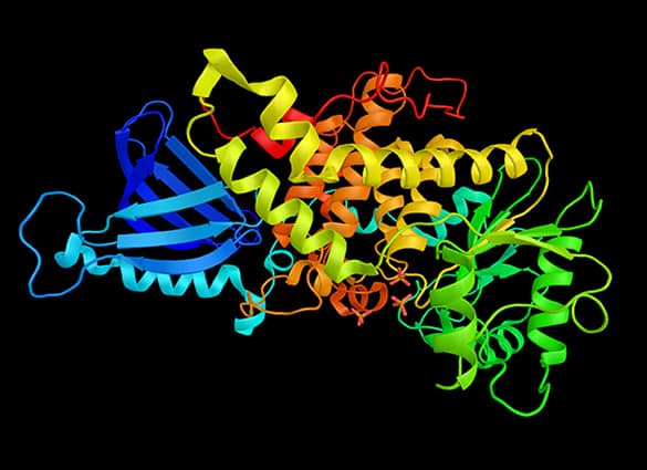 charcot-marie-tooth-disease-2 charcot-marie-tooth-disease-2