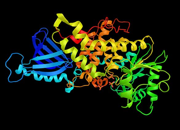 charcot-marie-tooth-disease-2