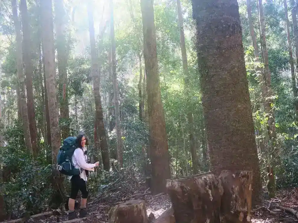 hiking fraser island