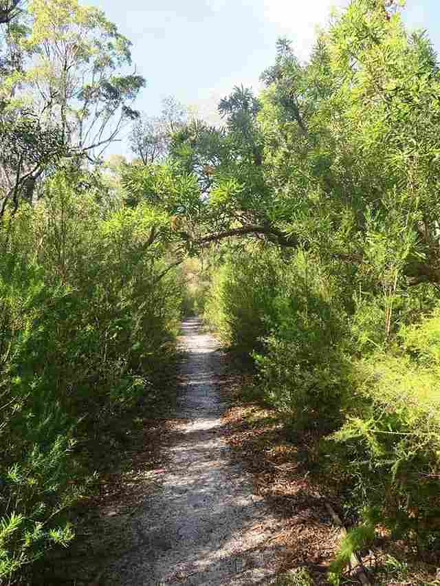 hiking fraser island foot health clinic