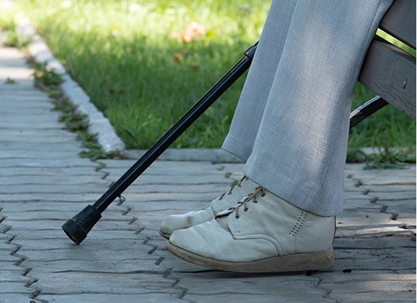 shoe-walking-stick
