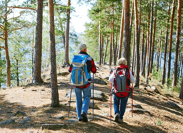 trekking-in-the-forest